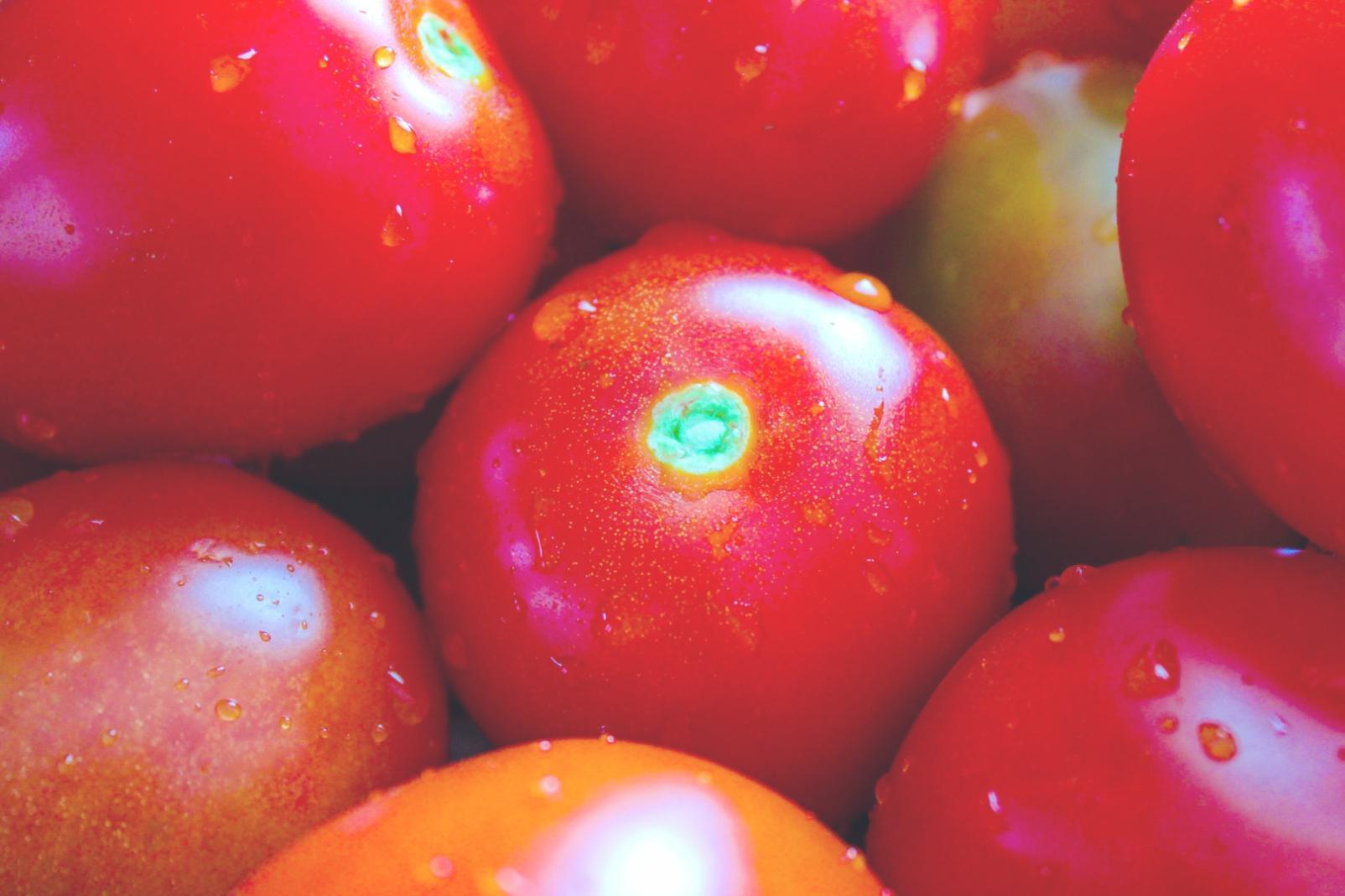 Кулінарна творчість з сезонними інгредієнтами